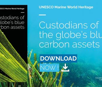 UNESCO Marine World Heritage report: Custodians of the globe's blue carbon assets