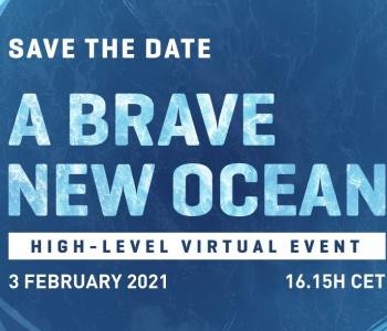 brave new ocean event ocean decade