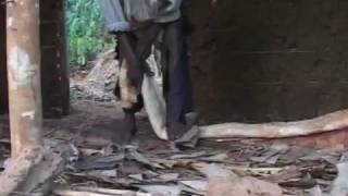 صناعة القماش من اللحاء في أوغندا