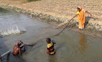 Catching fish with a net in Khulna, Bangladesh. Photo Yusuf Tushar / Worldfish from Flick, Creative Commons