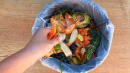 Hacking food waste: how to change your daily impact
