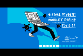 About virtual student mobility in higher education