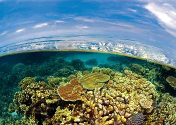 Global Ocean Acidification Observing Network