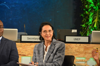 Shamila Nair-Bedouelle participating in the panel  side event on the UN Decade on Ecosystem Restoration: from commitments to action for nature at UNEA-5