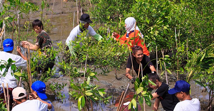 Young volonteers participate in a mangrove restoration project, Thailand. © Sura Nualpradid / Shutterstock.com