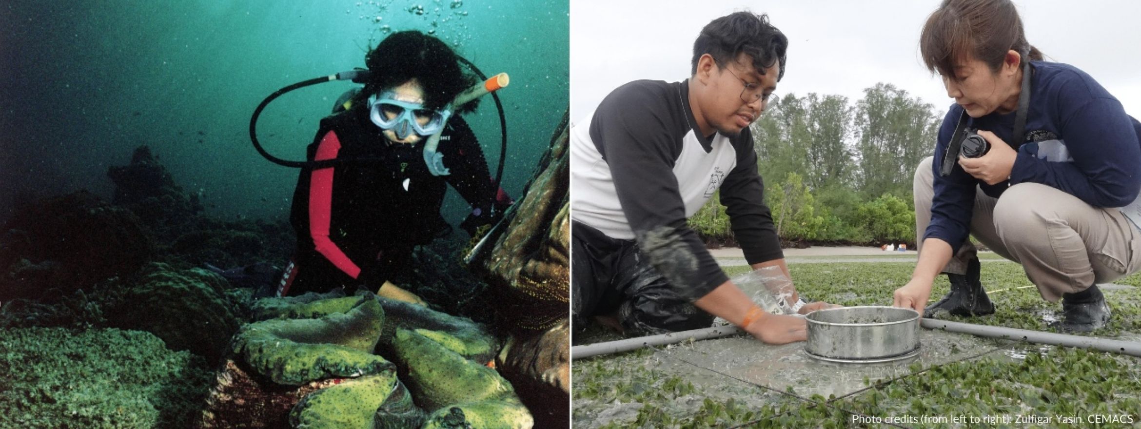 Empowering Women in Ocean Science is Crucial to Environmental Recovery Efforts in Asia-Pacific