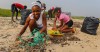 Maio Biosphere Reserve (Cabo Verde) beach cleanup © Jeff Wilson FFI