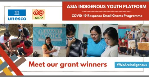 AIYP COVID-19 Response Small Grants Projects 
