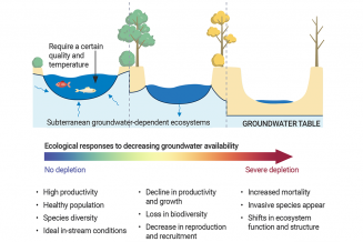 Aquatic groundwater-dependent ecosystems