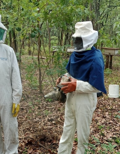 Beekeeping in Zambia