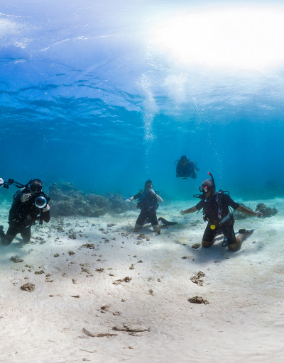 divers together genocean ocean decade campaign