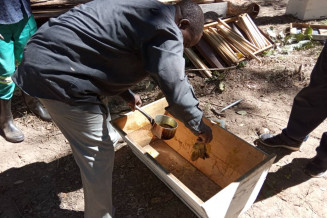 Beekeeping in Zambia 2