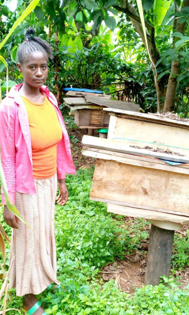 Activité du programme Des femmes pour les abeilles dans la Réserve de biosphère de Kafa, Ethiopie