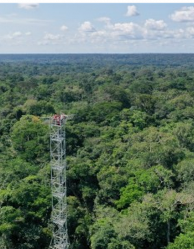 The Congoflux Tower in the Yangambi Biosphere Reserve