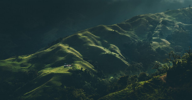 Colombian Coffee Landscape 