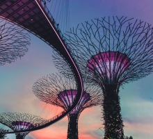 © Victor Garcia Gardens by the Bay Singapore / Unsplash