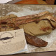 Brazil donated a replica of one of the seized fossils to UNESCO. These fossils had been stolen from a geopark in the basin of Araripe, were seized by French customs, and eventually returned to Brazil