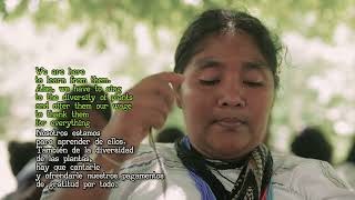 Sistema de conocimiento ancestral de los cuatro pueblos indígenas, arhuaco, kankuamo, kogui y wiwa de la Sierra Nevada de Santa Marta