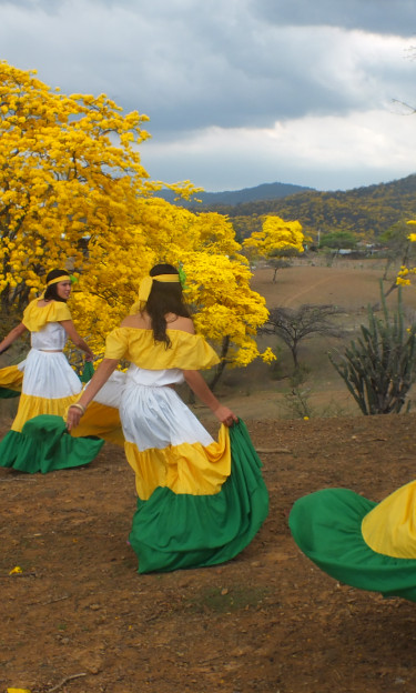 Celebration of the guayacanes in bloom in the Bosques de Paz Transboundary Biosphere Reserve, Ecuador and Peru
