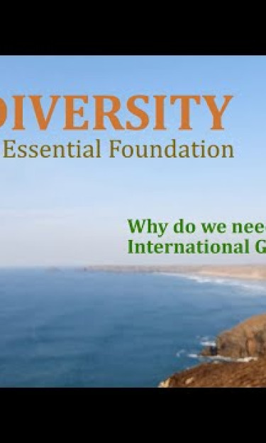 Why do we need an International Geodiversity Day?