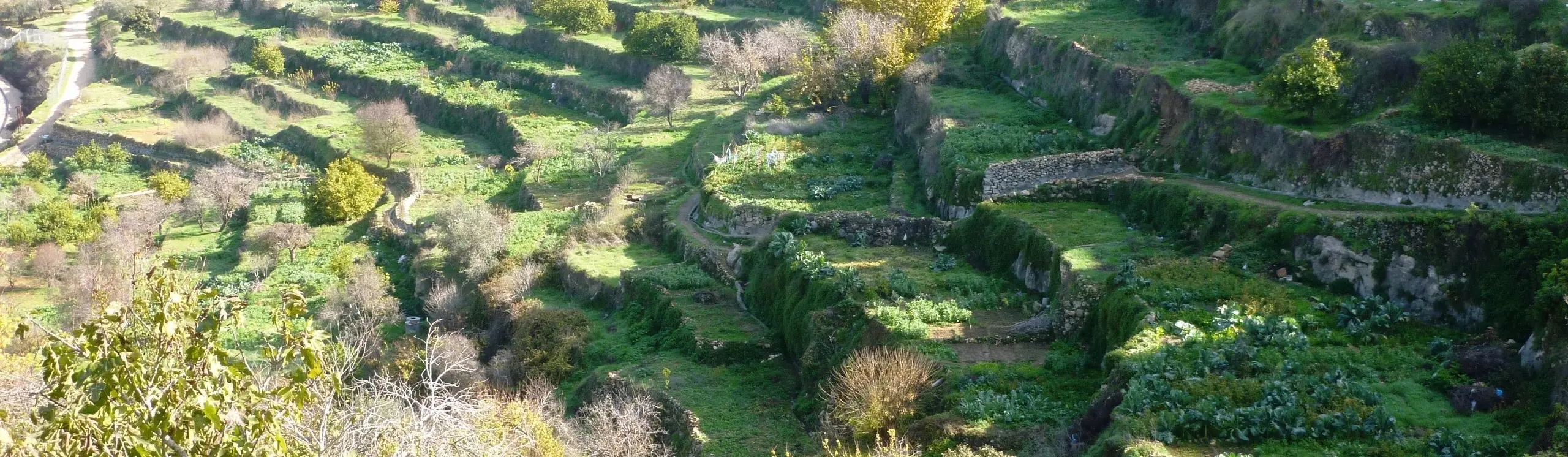 Palestine : terre des oliviers et des vignes – Paysage culturel du sud de Jérusalem, Battir
