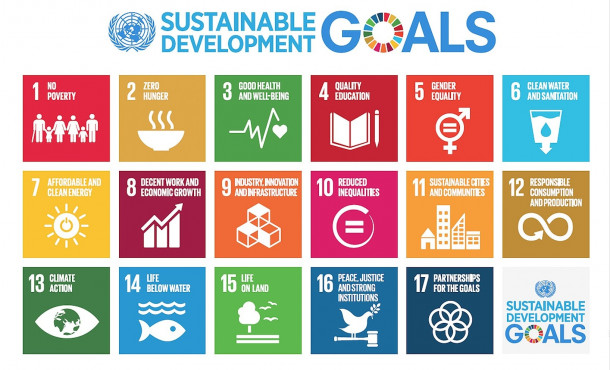 Sustainable Development Goals icons
