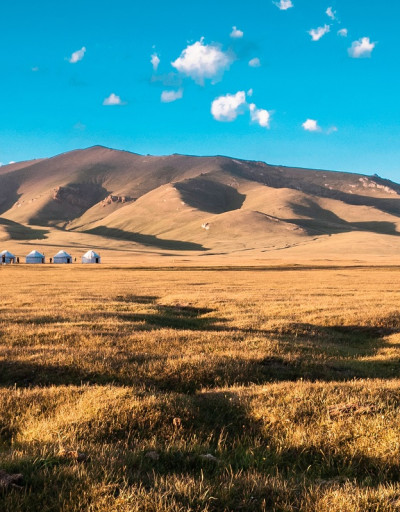 Central Asia Steppe