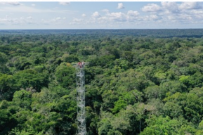La réserve de biosphère de Yangambi, dans le bassin du Congo, va devenir un pôle de connaissances sur le climat et la biodiversité