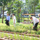 unesco bangkok garden climate change 