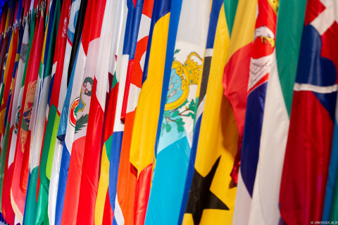 UNESCO, Flags