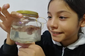 How online science workshops are reaching girls and beyond in Peru amid COVID-19 