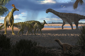 Латинская Америка: эльдорадо для динозавров