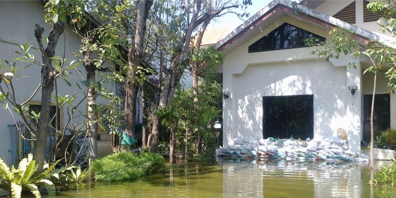 The impact of the 2011 floods at the Thai Film Archive; Photo credit: Thai Film Archive