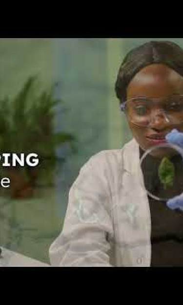 UNESCO-Equatorial Guinea International Prize for Research in the Life Sciences 2022 