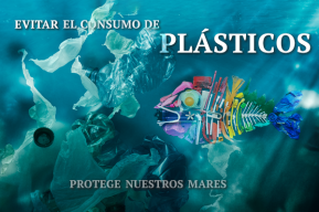 UNESCO San José urges to avoid plastic consumption to protect our seas