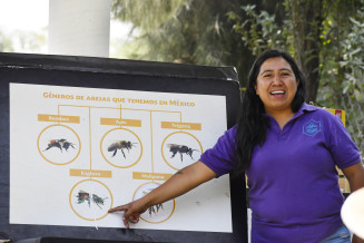 La fundadora de Abejas de Barrio soriendo y señalando a una impresión grande sobre género de abejas en México.