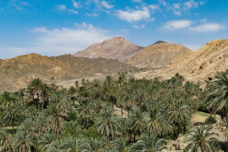Palm Gardens and Nayband Mountain Geosite, Tabas UNESCO Global Geopark, Iran