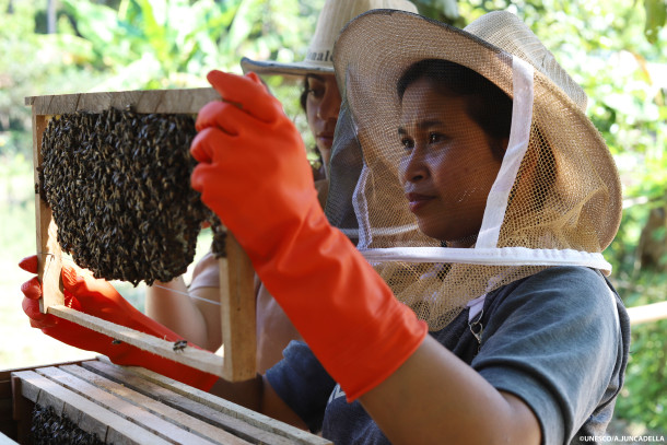 Women for bees - Cambodia