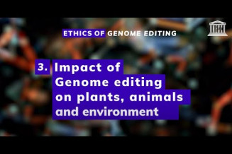 Ethics of Genome Editing. Impact of Genome editing on plants, animals and environment
