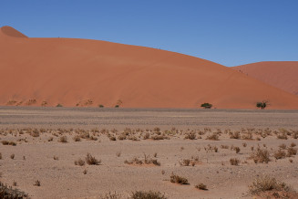 Namib Sand Sea, UNESCO World Heritage (Namibia)