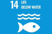 SDG14: Life below water