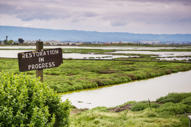 Restoration of the wetlands in Alviso Marsh, California