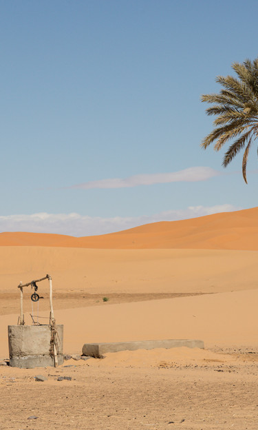 Solitary palm tree and well in Merzouga, Morocco