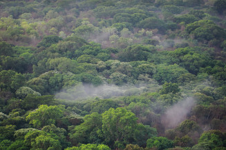 Paysage du Parc national du Manovo-Gounda St Floris, une propriété du patrimoine mondiale qui se trouve dans la Réserve de biosphère du Complexe des aires protégées du Nord-Est de la République centrafricaine, République centrafricaine