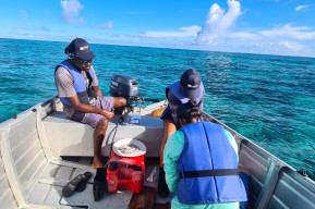 Des écoliers seychellois collectent des échantillons d’ADN environnemental lors d’un voyage inoubliable sur l’Atoll d’Aldabra