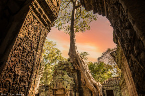 Building Disaster Resilience at Angkor