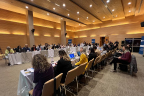 A single voice from Latin America and the Caribbean: Countries exchanged experiences and agreed on common visions at the regional meeting of the Education for Sustainable Development Network