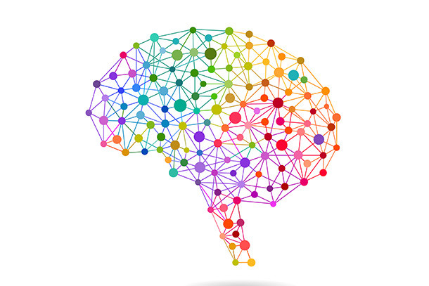 Neurotechnology - Visualisation of the human brain