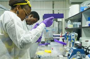 Neurociencias en África: buscando diversidad desesperadamente