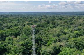 Call for applications: Masters programme on the sustainable management of protected areas and forest ecosystems in Africa